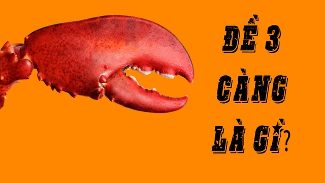 Đề 3 càng là một hình thức chơi để phổ biến tại Việt Nam hiện nay